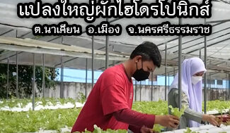 เกษตรมิติใหม่ 65 ep 15 : แปลงใหญ่ผักไฮโดรโปนิกส์ ต.นาเคียน อ.เมือง จ.นครศรีธรรมราช