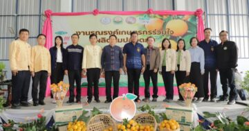 กรมส่งเสริมการเกษตร รณรงค์เกษตรกรร่วมใจผลิตส้มปลอดภัย “Safe Use Safe Orange”