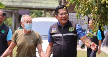 กรมส่งเสริมการเกษตรมั่นใจ ลิ้นจี่สมุทรสงคราม ฤดูนี้ได้ทานแน่