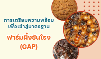 การเตรียมความพร้อมเพื่อเข้าสู่มาตรฐานฟาร์มผึ้งชันโรง (GAP)