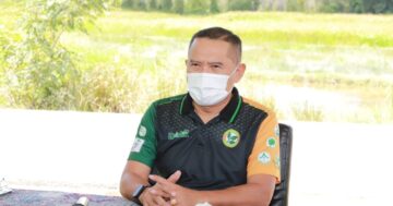 กรมส่งเสริมการเกษตร เฝ้าระวัง “หนอนกินใบมะพร้าว” แพร่ระบาดสร้างความเสียหาย เตือนเกษตรกรหมั่นสำรวจสวน ป้องกันกำจัดตามคำแนะนำอย่างเคร่งครัด