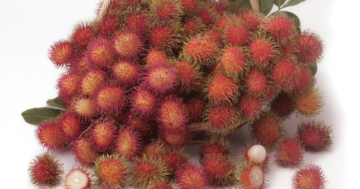 Rambutan