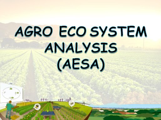 AGro eco system analysis (AESA)