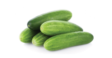 Cucumber