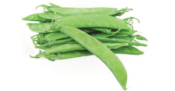 Garden Pea (pea/Sugar Pea / Sweet Pea)