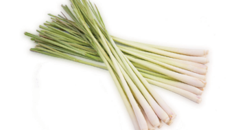 Lemon  Grass