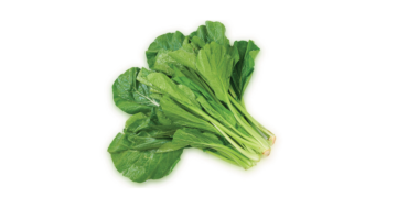 Pak Choi