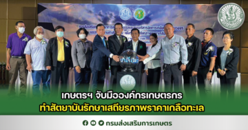 เกษตรฯ จับมือองค์กรเกษตรกร ทำสัตยาบันรักษาเสถียรภาพราคาเกลือทะเล