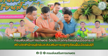 กรมส่งเสริมการเกษตร จัดประกวดทุเรียนพื้นเมืองกระบี่ สร้างจิตสำนึกอนุรักษ์และส่งเสริมการปลูกทุเรียนพื้นเมืองพันธุ์ดี