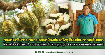 กรมส่งเสริมการเกษตร โชว์ผลป้องกันแก้ไขทุเรียนอ่อนภาคตะวันออกได้ผลดีเป็นที่น่าพอใจ เตรียมส่งต่อโมเดลชุดปฏิบัติการตรวจก่อนตัดสู่ภาคใต้