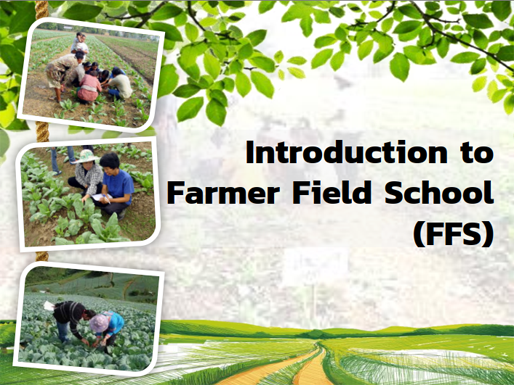 Introduction to Farmer Field School (FFS)