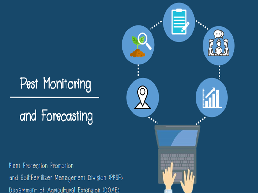 Pest Monitoring and Foreasting