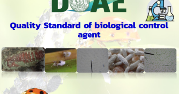 Quality Standard of biological control agent