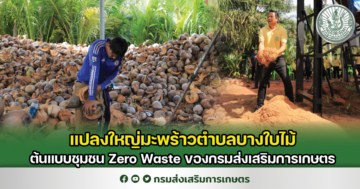 แปลงใหญ่มะพร้าวตำบลบางใบไม้ ต้นแบบชุมชน Zero Waste ของกรมส่งเสริมการเกษตร