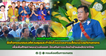 กรมส่งเสริมการเกษตร จัดกิจกรรมรณรงค์ควบคุมและกำจัดด้วงงวงเจาะเมล็ดมะม่วงแก่เกษตรกร เพื่อเพิ่มศักยภาพมะม่วงส่งออก ป้องกันการระงับนำเข้าผลผลิตจากไทย