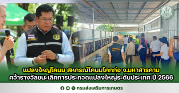 แปลงใหญ่โคนม สหกรณ์โคนมโคกก่อ จ.มหาสารคาม คว้ารางวัลชนะเลิศการประกวดแปลงใหญ่ระดับประเทศ ปี 2566