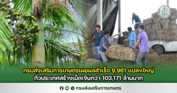 กรมส่งเสริมการเกษตรเผยผลสำเร็จ 9,961 แปลงใหญ่ทั่วประเทศสร้างเม็ดเงินกว่า 103,171 ล้านบาท