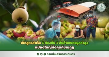 เปิดสูตรสำเร็จ 1 ท้องถิ่น 1 สินค้าเกษตรมูลค่าสูง ‘แปลงใหญ่มังคุดคิชฌกูฏ’