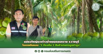แปลงใหญ่มะพร้าวน้ำหอมดอนกรวย จ.ราชบุรี โมเดลต้นแบบ ‘1 ท้องถิ่น 1 สินค้าเกษตรมูลค่าสูง’