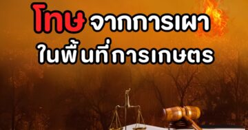 โทษจากการเผาในพื้นที่การเกษตร