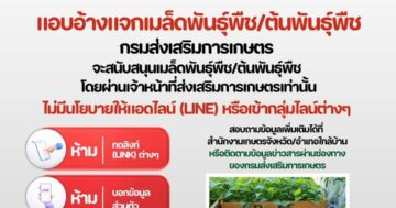 แจ้งเตือน!! ระวังมิจฉาชีพ แอบอ้างแจกเมล็ดพันธุ์พืช/ต้นพันธุ์พืช