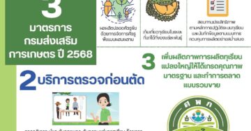 3 มาตรการของกรมส่งเสริมการเกษตร ปีการผลิต 2568 เพื่อเกษตรกรไทยผลิตทุเรียนคุณภาพและได้มาตรฐาน