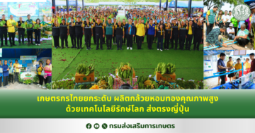 เกษตรกรไทยยกระดับ ผลิตกล้วยหอมทองคุณภาพสูงด้วยเทคโนโลยีรักษ์โลก ส่งตรงญี่ปุ่น