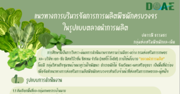 แนวทางการบริหารจัดการการผลิตพืชผักครบวงจรในรูปแบบตลาดนําการผลิต