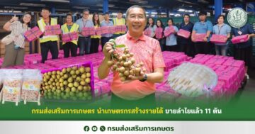 กรมส่งเสริมการเกษตร นำเกษตรกรสร้างรายได้ ขายลำไยแล้ว 11 ตัน