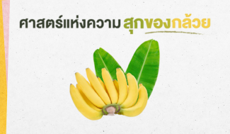 ศาสตร์แห่งความสุกของกล้วย