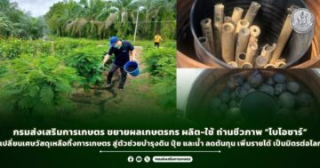 กรมส่งเสริมการเกษตร ขยายผลเกษตรกร ผลิต-ใช้ ถ่านชีวภาพ “ไบโอชาร์”เปลี่ยนเศษวัสดุเหลือทิ้งการเกษตร สู่ตัวช่วยบำรุงดิน ปุ๋ย และน้ำ ลดต้นทุน เพิ่มรายได้ เป็นมิตรต่อโลก