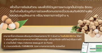 เชิญชวนเกษตรกรผู้ปลูกลำไย แจ้งขึ้นทะเบียนและปรับปรุงทะเบียนเกษตรกรให้เป็นปัจจุบัน