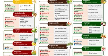 สถานการณ์การระบาดศัตรูพืชสำคัญ ระหว่างวันที่ 6 – 12 พฤศจิกายน 2568