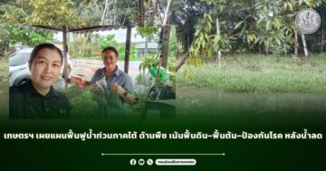 เกษตรฯ เผยแผนฟื้นฟูน้ำท่วมภาคใต้ ด้านพืช เน้นฟื้นดิน–ฟื้นต้น–ป้องกันโรค หลังน้ำลด