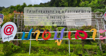 วิสาหกิจชุมชนกลุ่มผู้ผลิตกาแฟคุณภาพบ้านปางปูเลาะ จังหวัดพะเยา