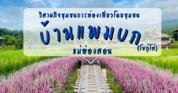 วิสาหกิจชุมชนการท่องเที่ยวโดยชุมชนบ้านแพมบก (โขกู้โส่) จังหวัดแม่ฮ่องสอน