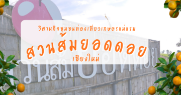 วิสาหกิจชุมชนสวนส้มยอดดอย จังหวัดเชียงใหม่