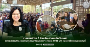 ชาวสวนลำไย 8 จังหวัด ภาคเหนือ รีบเลย! สมัครเข้าร่วมโครงการพัฒนาสวนลำไยคุณภาพฯ รับไร่ละ 1,000 บาท หมดเขตสิ้นเดือนมกราคมนี้