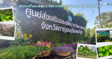 ศูนย์ส่งเสริมและพัฒนาอาชีพการเกษตรจังหวัดกาญจนบุรี