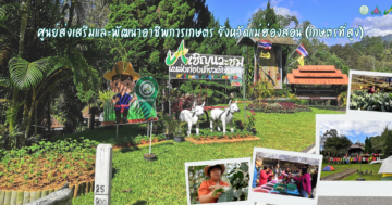 ศูนย์ส่งเสริมและพัฒนาอาชีพการเกษตรจังหวัดแม่ฮ่องสอน (เกษตรที่สูง)