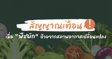 สัญญาณเตือน เมื่อพืชผักป่วยจากสภาพอากาศเปลี่ยนแปลง