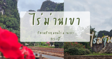 วิสาหกิจชุมชนไร่ม่านเขา จังหวัดกระบี่