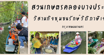วิสาหกิจชุมชนรักษ์วิถีภาษีเจริญ จังหวัดกรุงเทพมหานคร