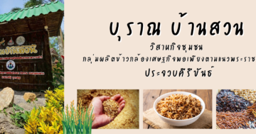 วิสาหกิจชุมชนกลุ่มผลิตข้าวกล้องเศรษฐกิจพอเพียงตามแนวพระราชดำริ จังหวัดประจวบคีรีขันธ์