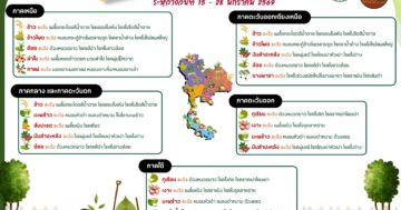 เตือนเฝ้าระวังศัตรูพืชระหว่างวันที่ 15 – 28 มกราคม 2569