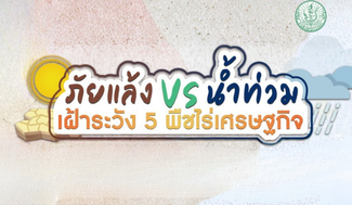 ภัยแล้ง VS น้ำท่วม เฝ้าระวัง 5 พืชไร่เศรษฐกิจ