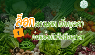 ล็อกความสด เพิ่มมูลค่า ก่อนส่งผักถึงมือลูกค้า