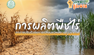 การผลิตพืชไร่และการปรับตัวต่อการเปลี่ยนแปลงสภาพภูมิอากาศ