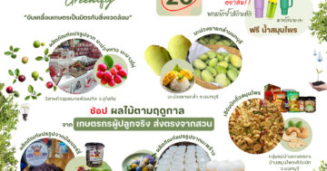 เตรียมพบกับงาน “DOAE Greenify” ขับเคลื่อนเกษตรเป็นมิตรกับสิ่งแวดล้อม!
