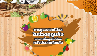 การดูแลสวนไม้ผลในช่วงฤดูแล้งและการฟื้นฟูสวนไม้ผลหลังประสบภัยแล้ง